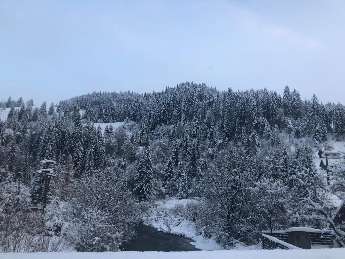 Cabana Felyviss Garda de Sus Bagian luar foto