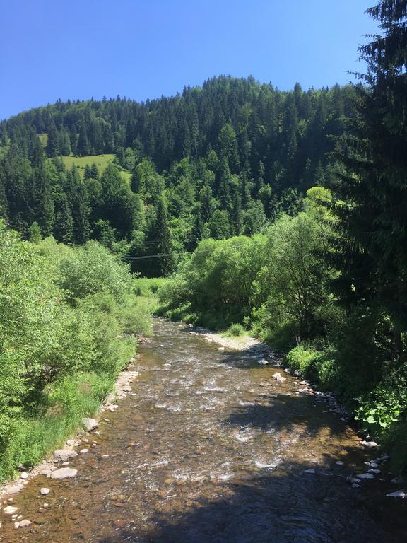 Cabana Felyviss Garda de Sus Bagian luar foto